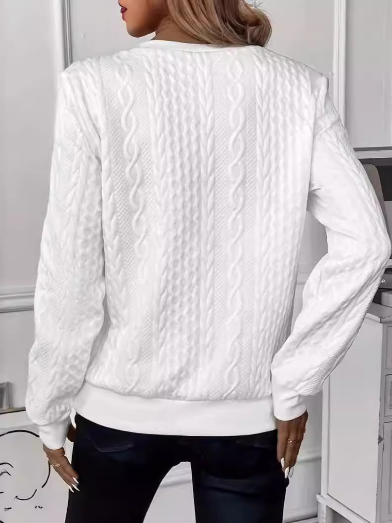 Women Plain Crew Neck Jacquard Long Sleeve Casual Daily Spring/Fall Sweatshirt