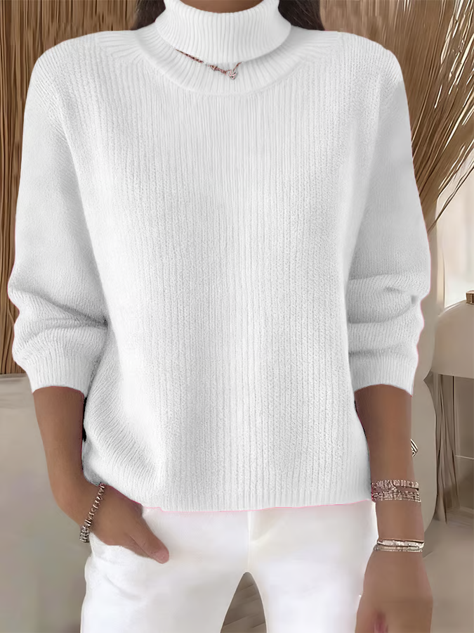 Women Plain Turtleneck Long Sleeve Casual Holiday Spring/Fall Sweater