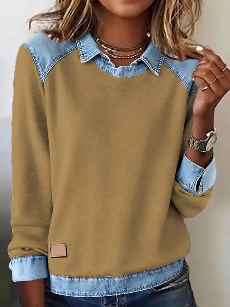 Women Plain Shawl Collar Long Sleeve Vintage Daily Spring/Fall Sweatshirt