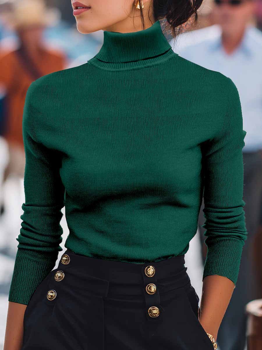 Women Plain Turtleneck Long Sleeve Street Daily Spring/Fall Sweater