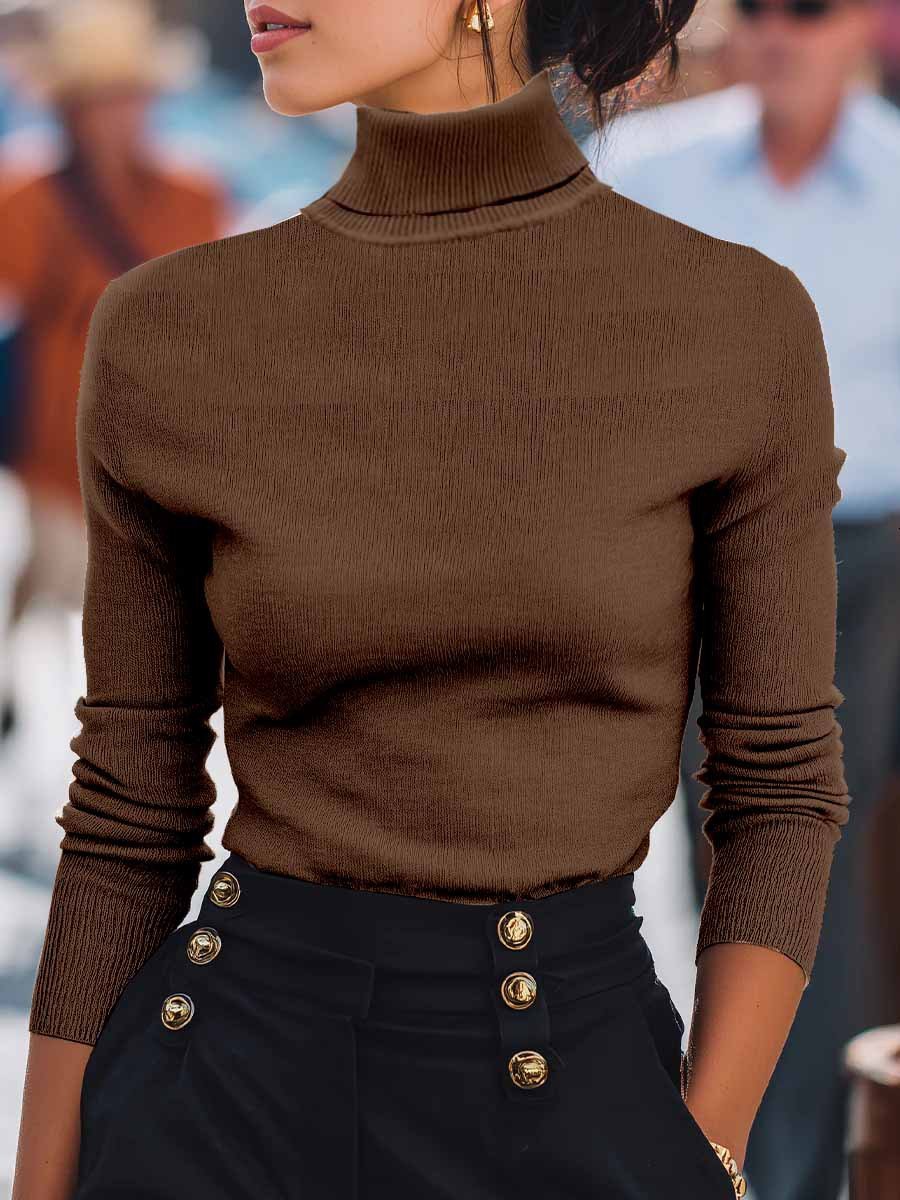 Women Plain Turtleneck Long Sleeve Street Daily Spring/Fall Sweater