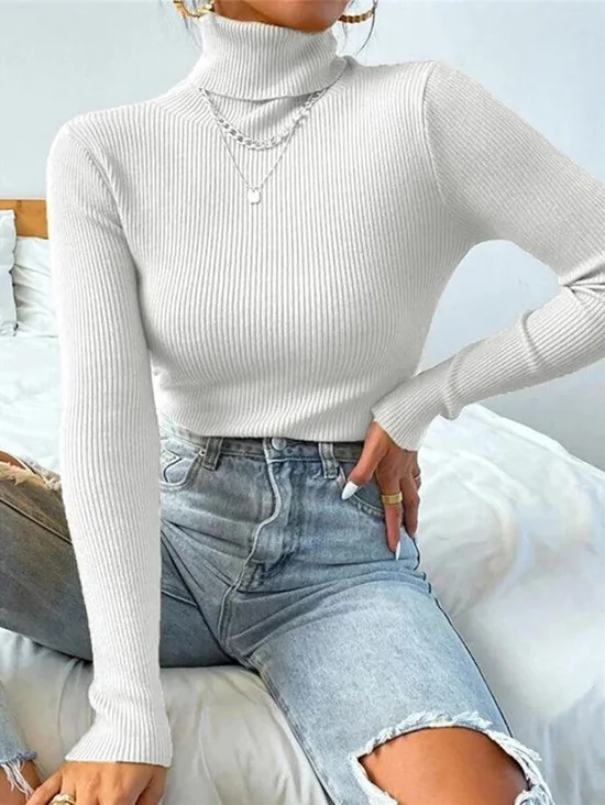 Women Plain Turtleneck Long Sleeve Casual Daily Spring/Fall Knit Top